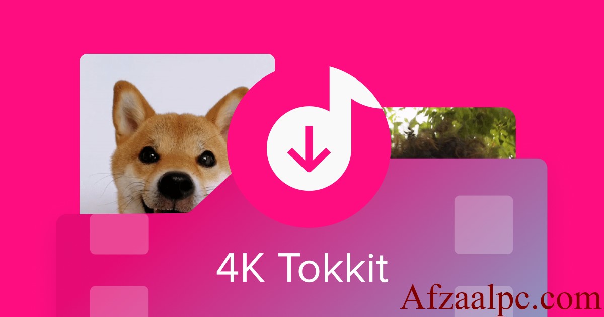 4K TikTok Latest Version
