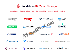 Backblaze Latest Activated Version